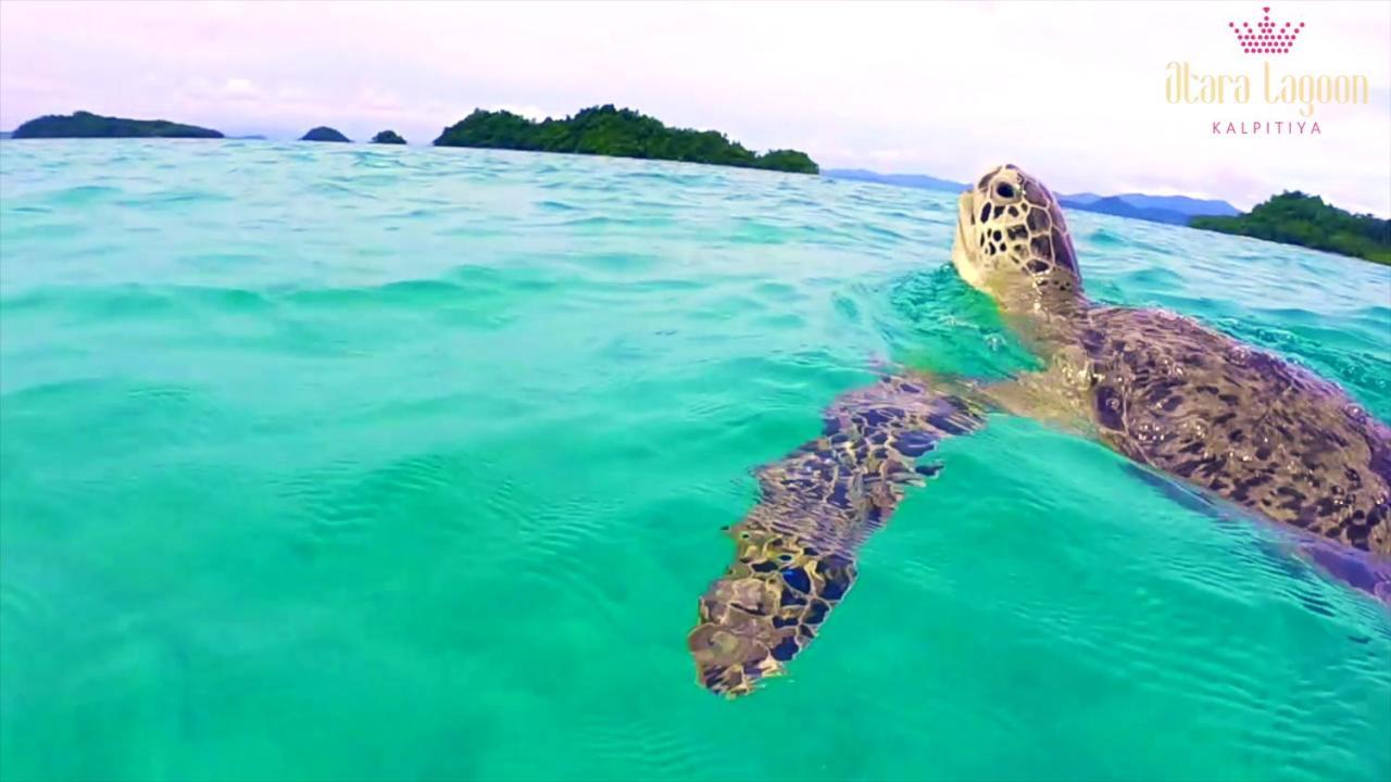 Atara Lagoon คัลพิทิยา ภายนอก รูปภาพ