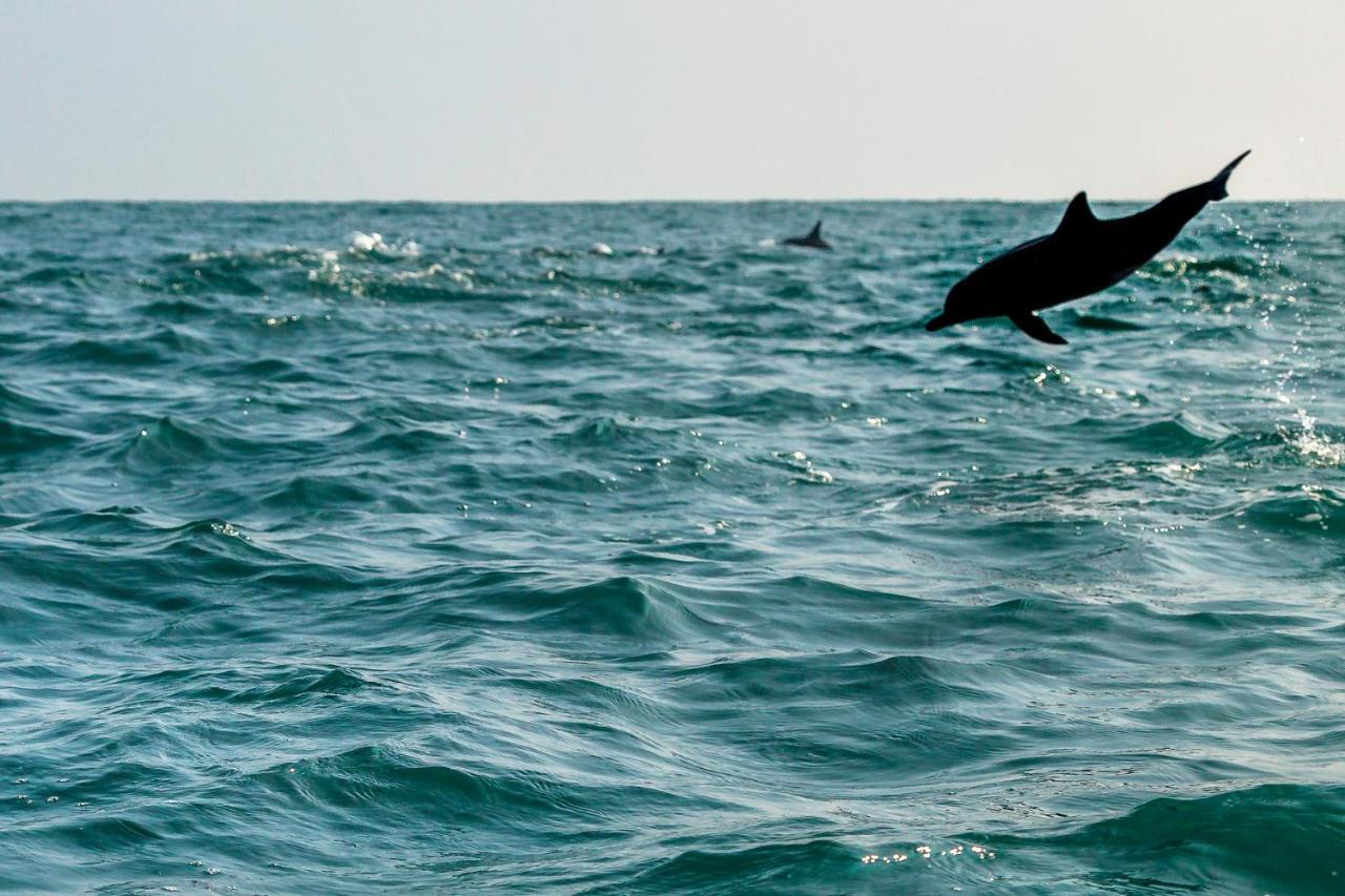 Atara Lagoon คัลพิทิยา ภายนอก รูปภาพ